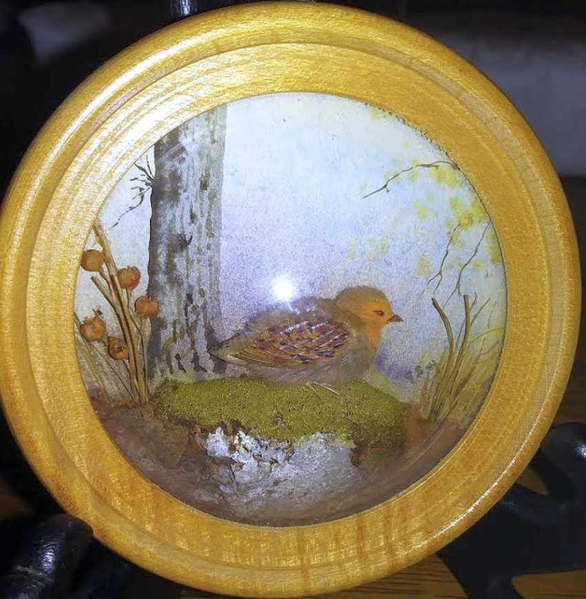 Hungarian Partridge (Version 2)